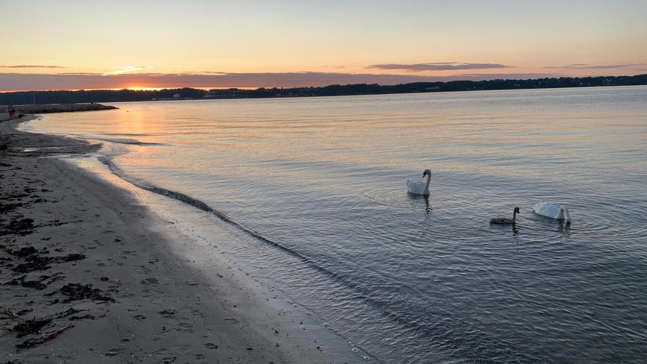 Ferienwohnung In Weisser Villa Am Kliff Flensburg Bagian luar foto